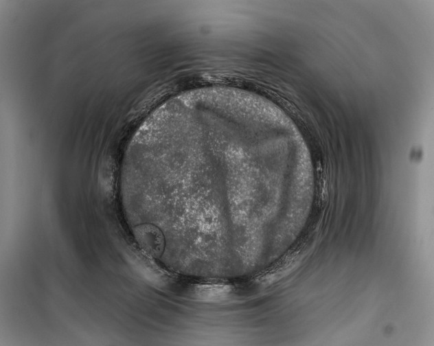 X0000100230266200806131343