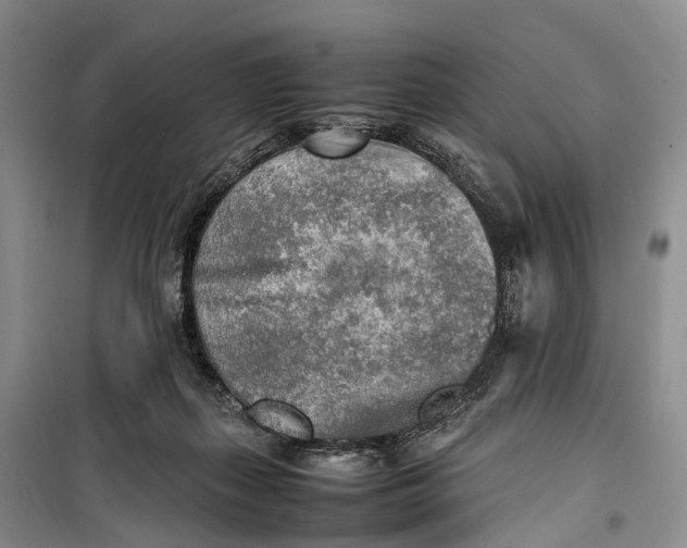 X0000100230267200806131343