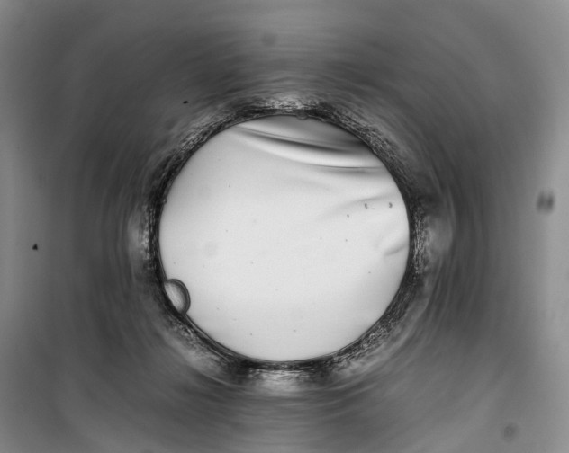 X0000100230268200806131343