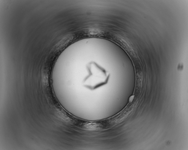 X0000100230269200806131343