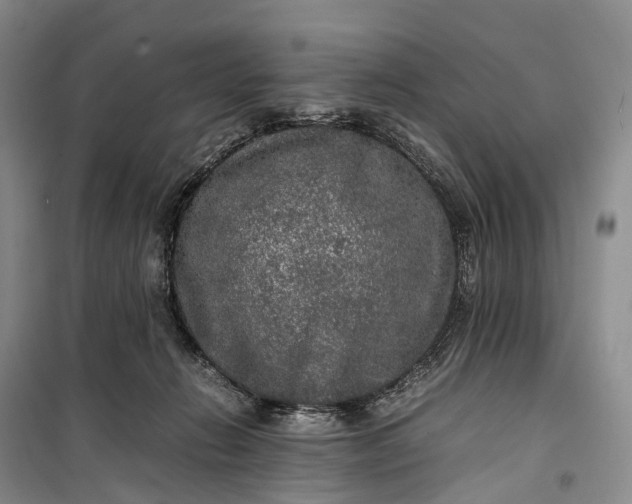 X0000100230270200806131343