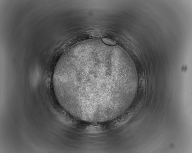 X0000100230271200806131343