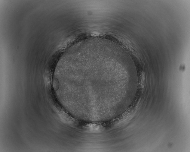 X0000100230272200806131343