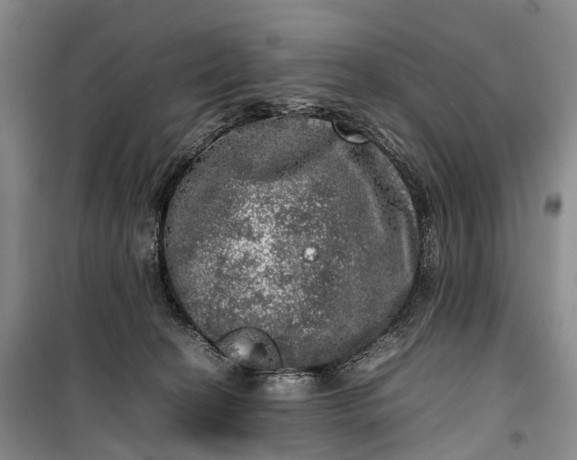 X0000100230274200806131343