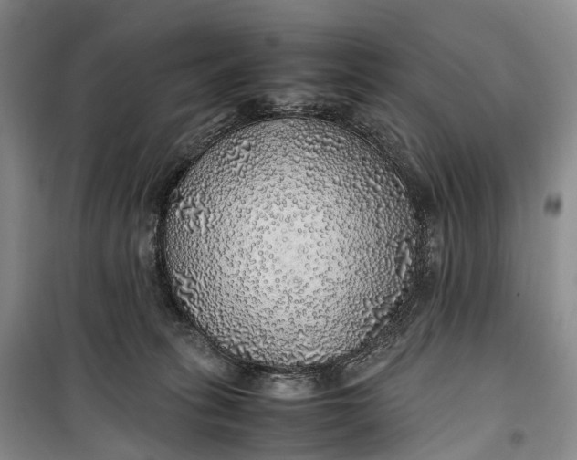 X0000100230275200806131343