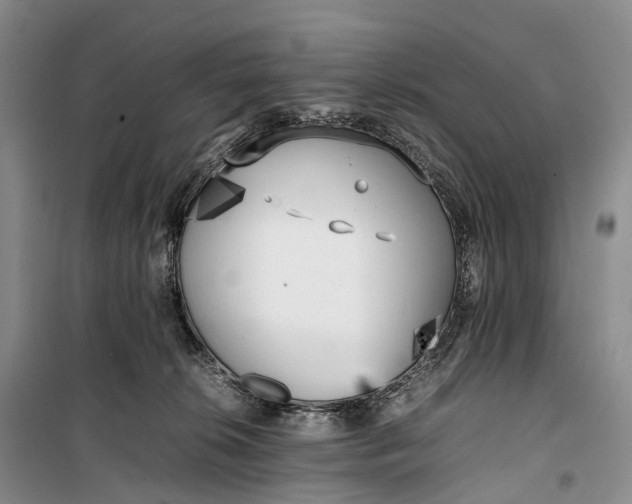 X0000100230276200806131343