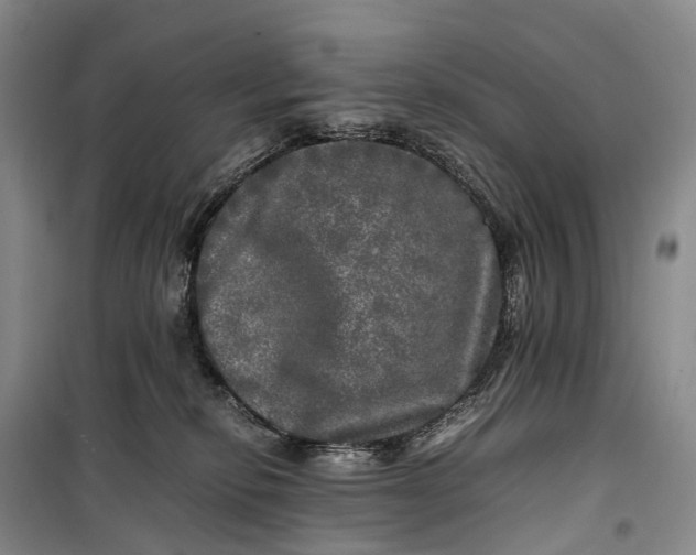 X0000100230278200806131343