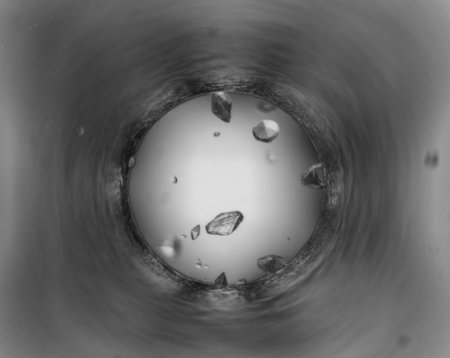 X0000100230279200806131343