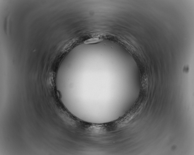 X0000100230280200806131343