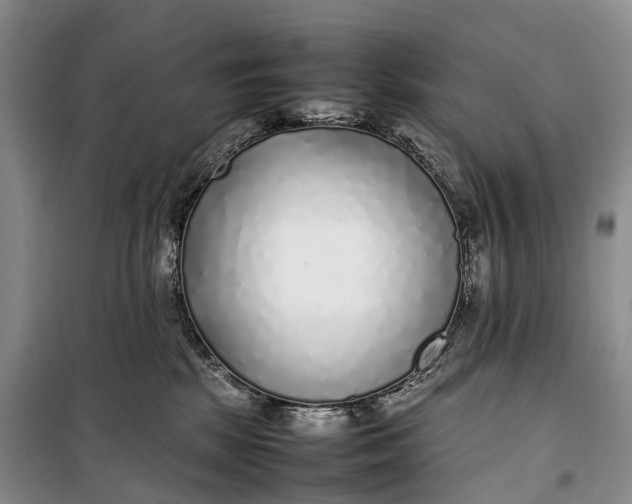 X0000100230281200806131343