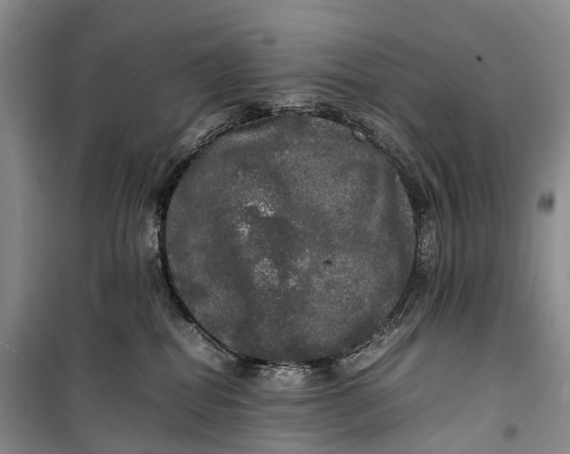 X0000100230282200806131343