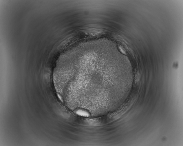 X0000100230283200806131343