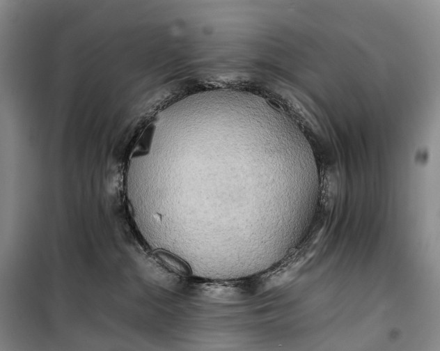 X0000100230284200806131343