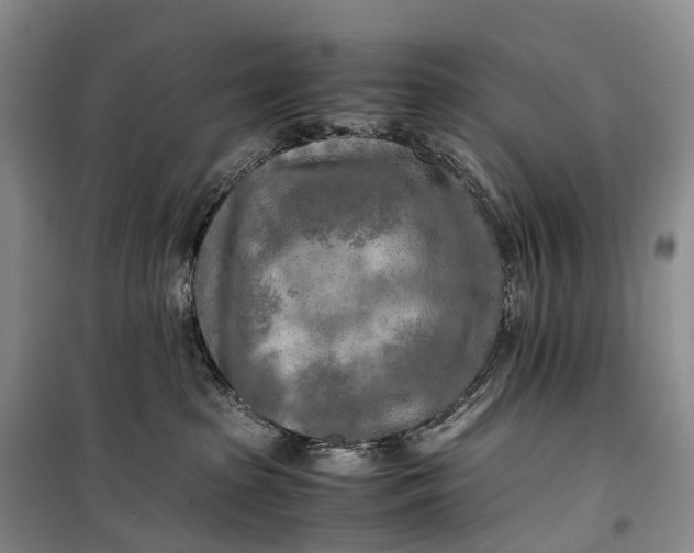 X0000100230285200806131343