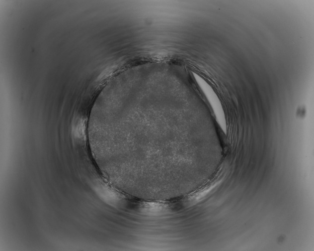 X0000100230286200806131343