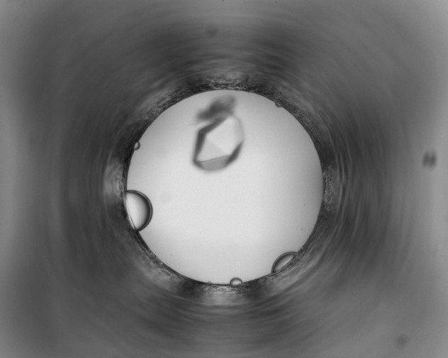 X0000100230287200806131343