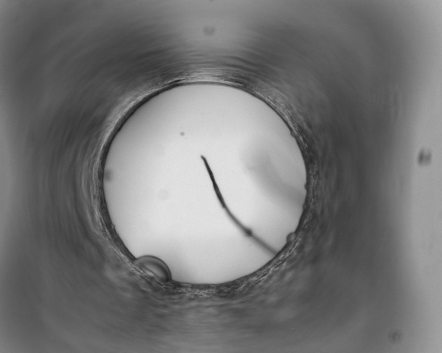 X0000100230289200806131342