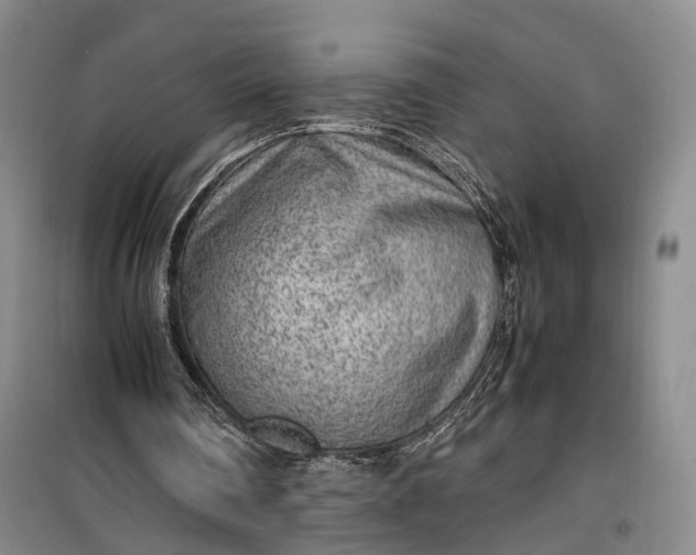 X0000100230290200806131342