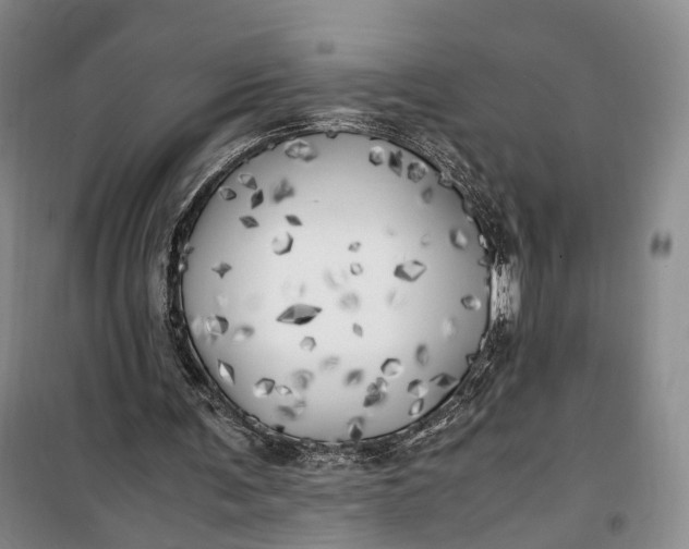 X0000100230291200806131342