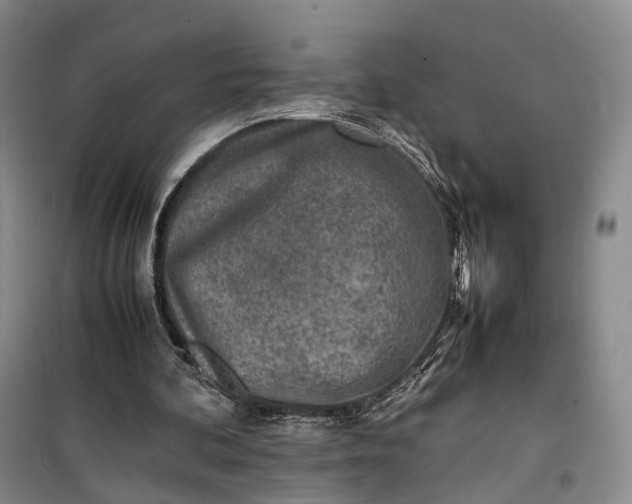 X0000100230292200806131342