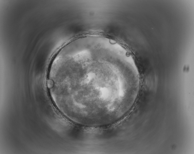 X0000100230293200806131342