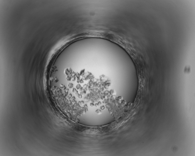 X0000100230294200806131342