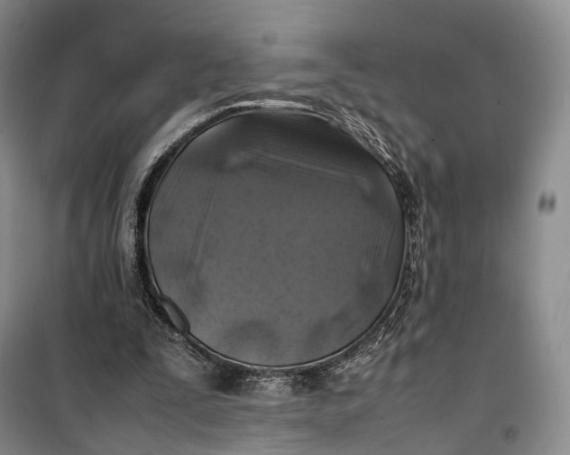 X0000100230295200806131342