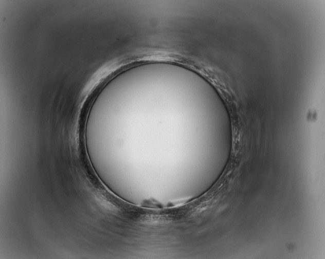 X0000100230296200806131342