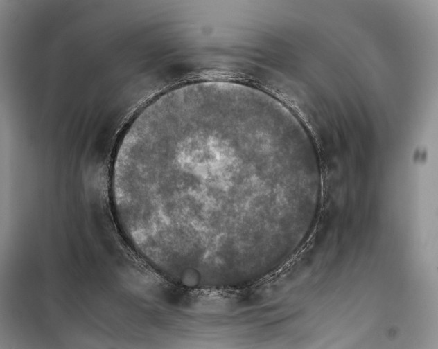 X0000100230297200806131342