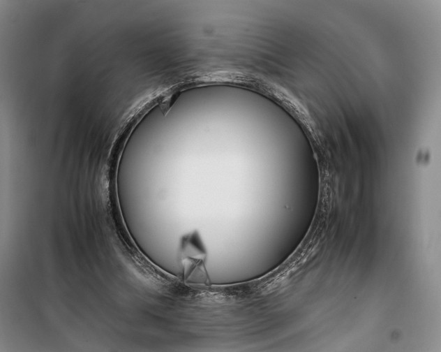 X0000100230298200806131342