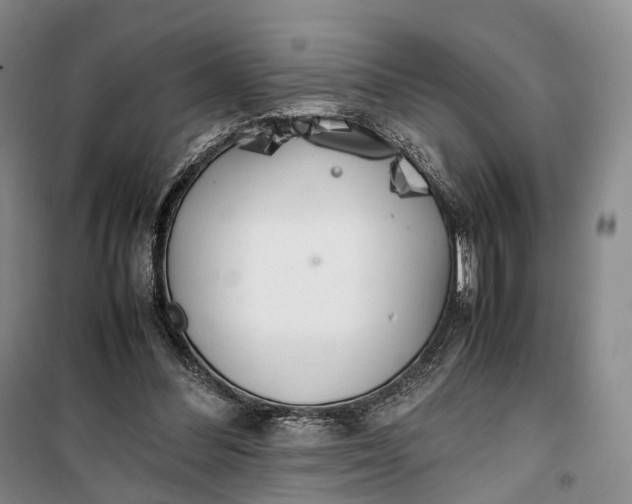 X0000100230300200806131342