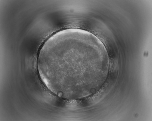 X0000100230301200806131342