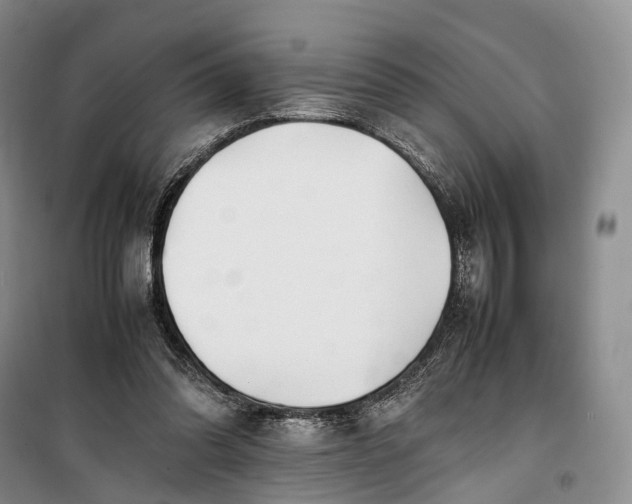 X0000100230302200806131342