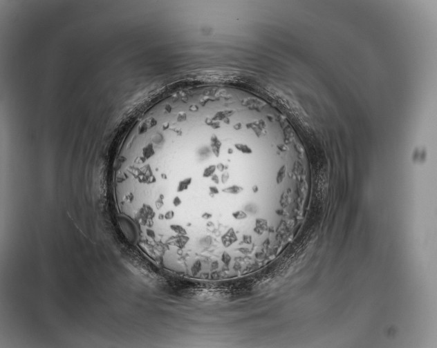 X0000100230303200806131342