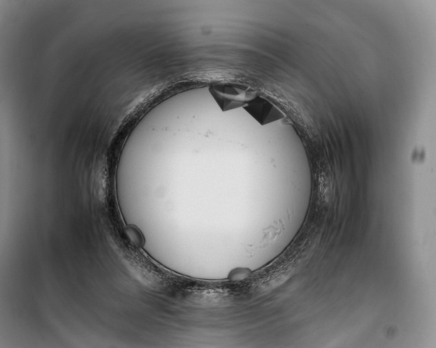 X0000100230304200806131342