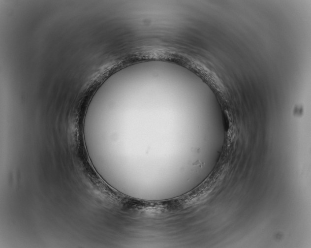 X0000100230306200806131342