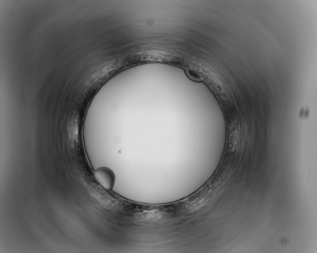 X0000100230310200806131342