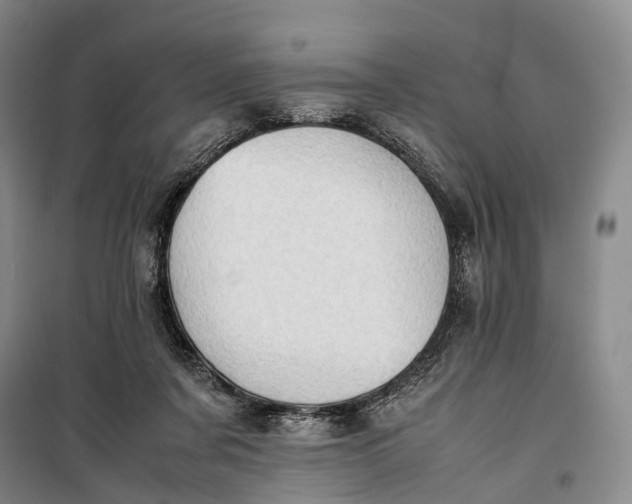 X0000100230311200806131342