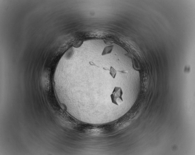 X0000100230312200806131342