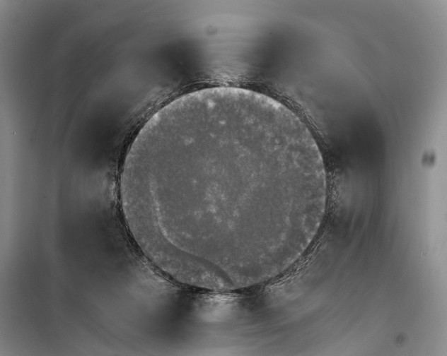 X0000100230313200806131342