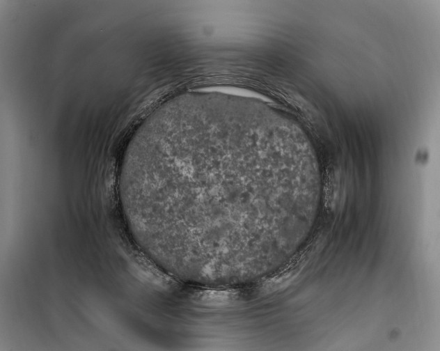 X0000100230314200806131342