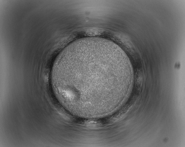 X0000100230315200806131342