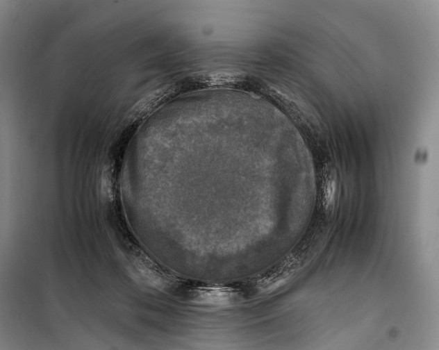 X0000100230316200806131342