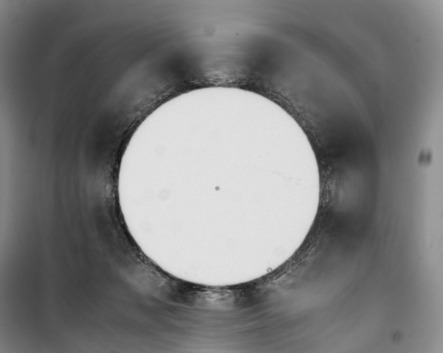 X0000100230317200806131342