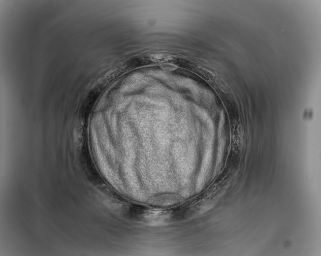 X0000100230319200806131342