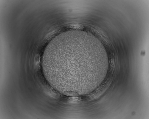 X0000100230320200806131342