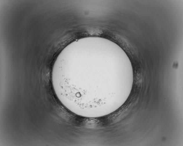 X0000100230321200806131342