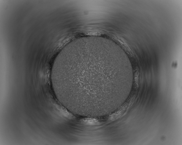 X0000100230322200806131342