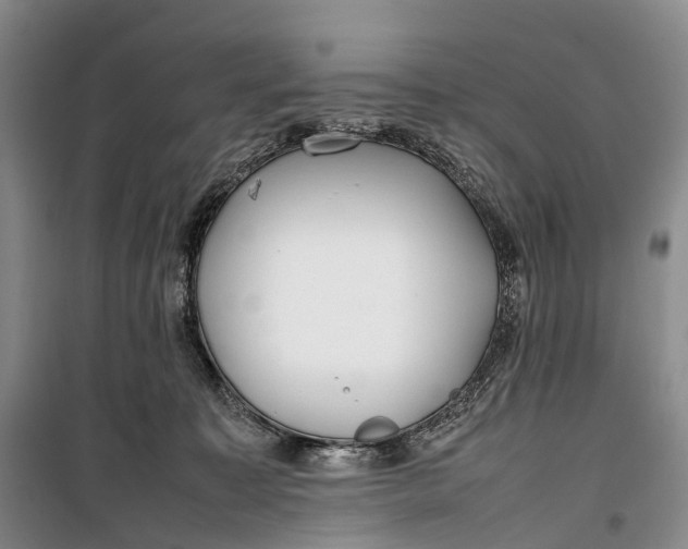 X0000100230323200806131342