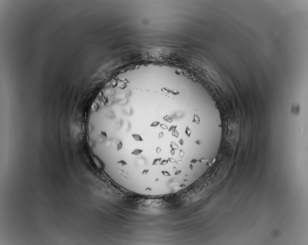 X0000100230324200806131342